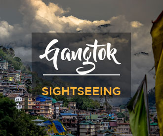 NES0011  Gangtok Sightseeing