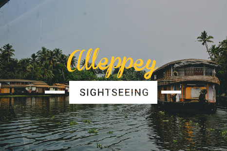 NES0020 Alleppey Sightseeing